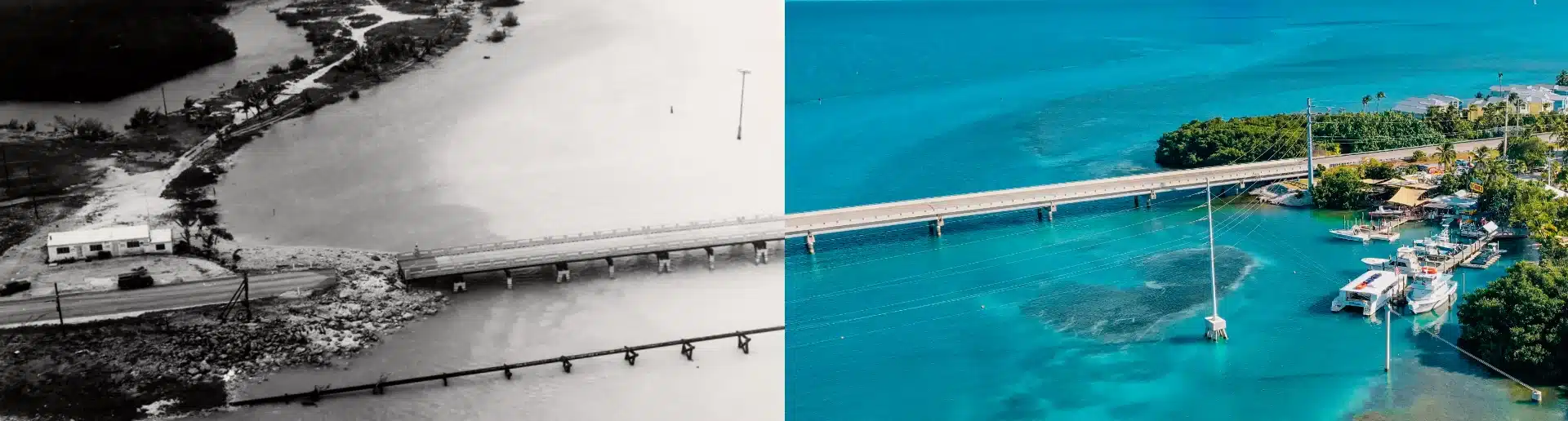 Robbie's Marina of Islamorada